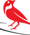 Red Sparrow Digital